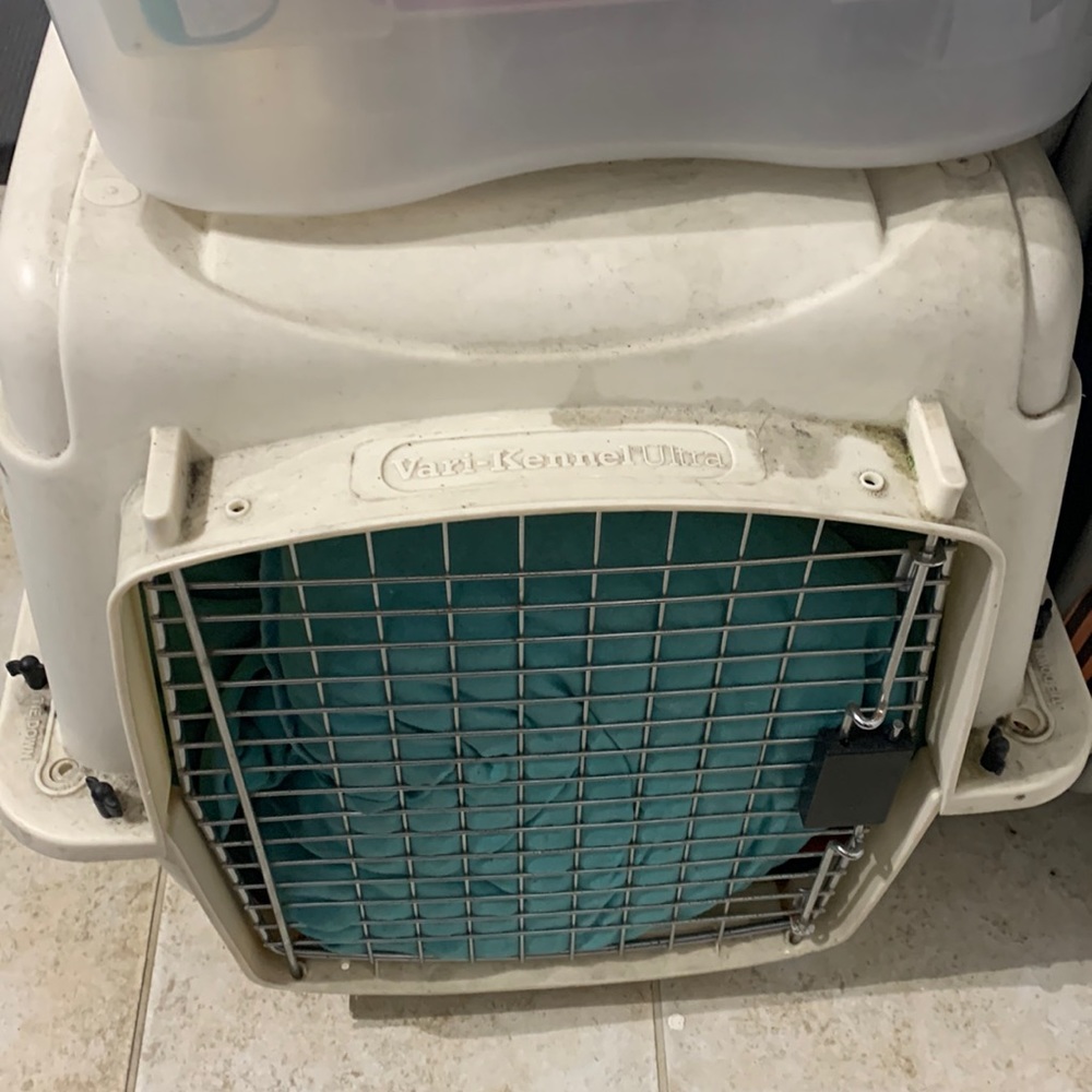 Nice basket for animals